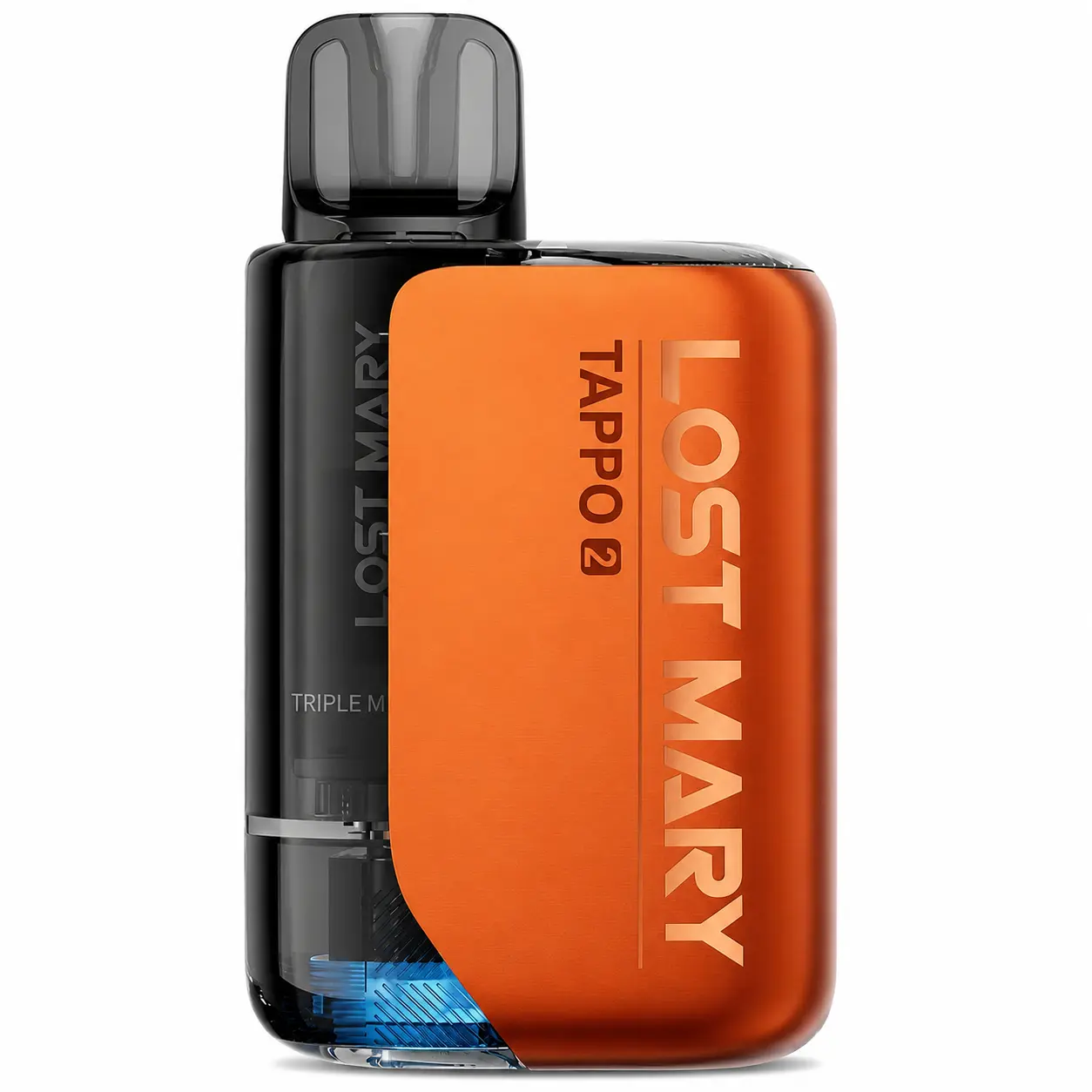 Lost Mary
